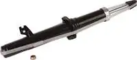 

Store code: J4313007 for ten shock absorber gas right 6 2008