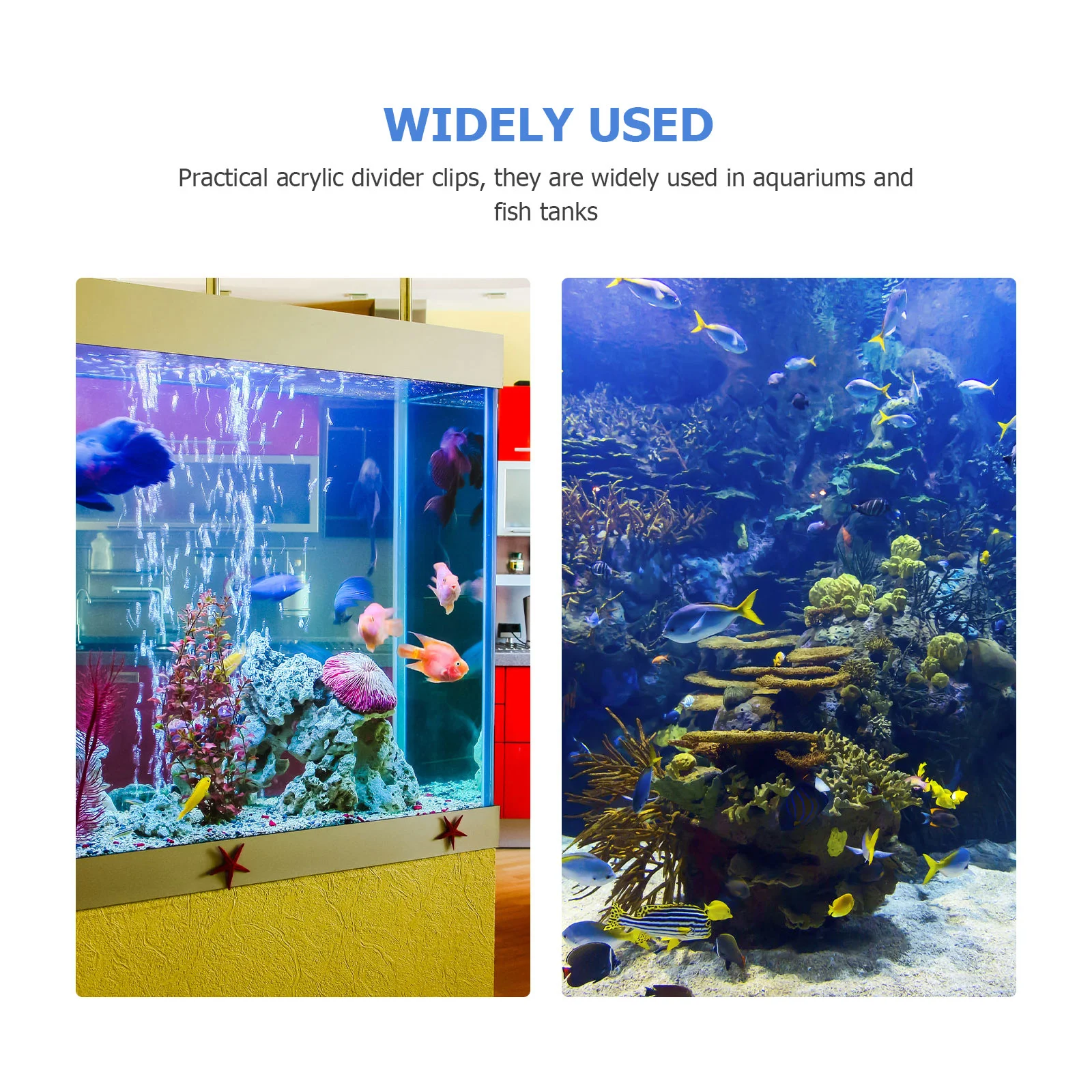 2 шт. держатель-разделитель на присоске зажимы для аквариума разведения