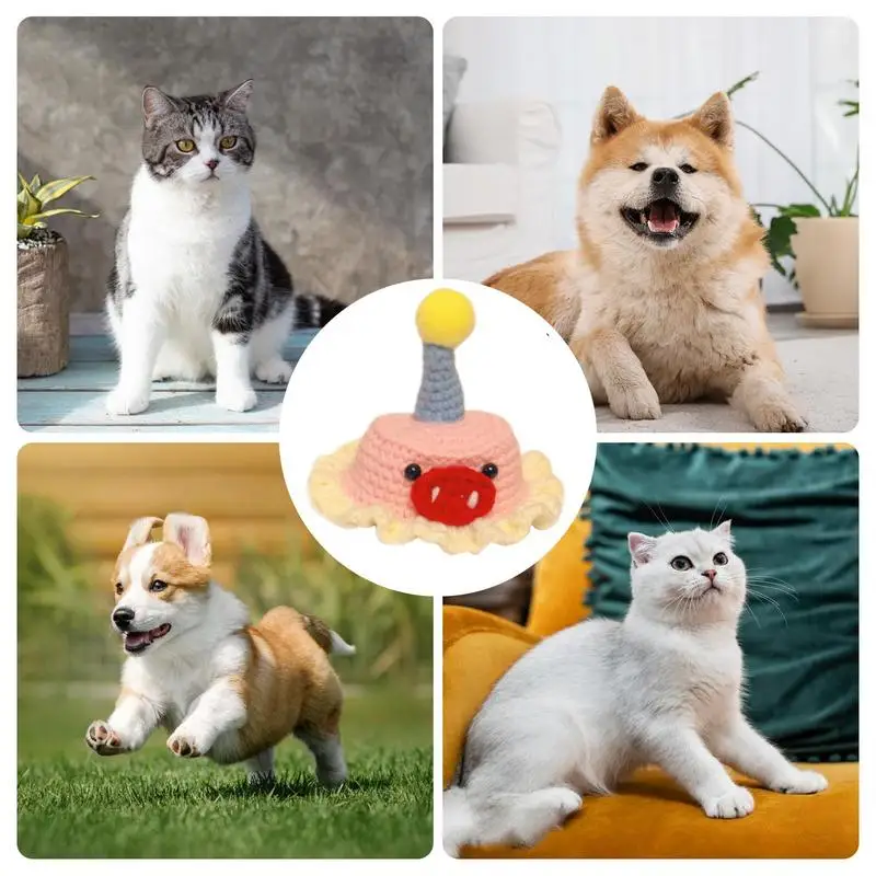 Вязаная крючком шапка для собаки очаровательная вязаная домашних животных кошек