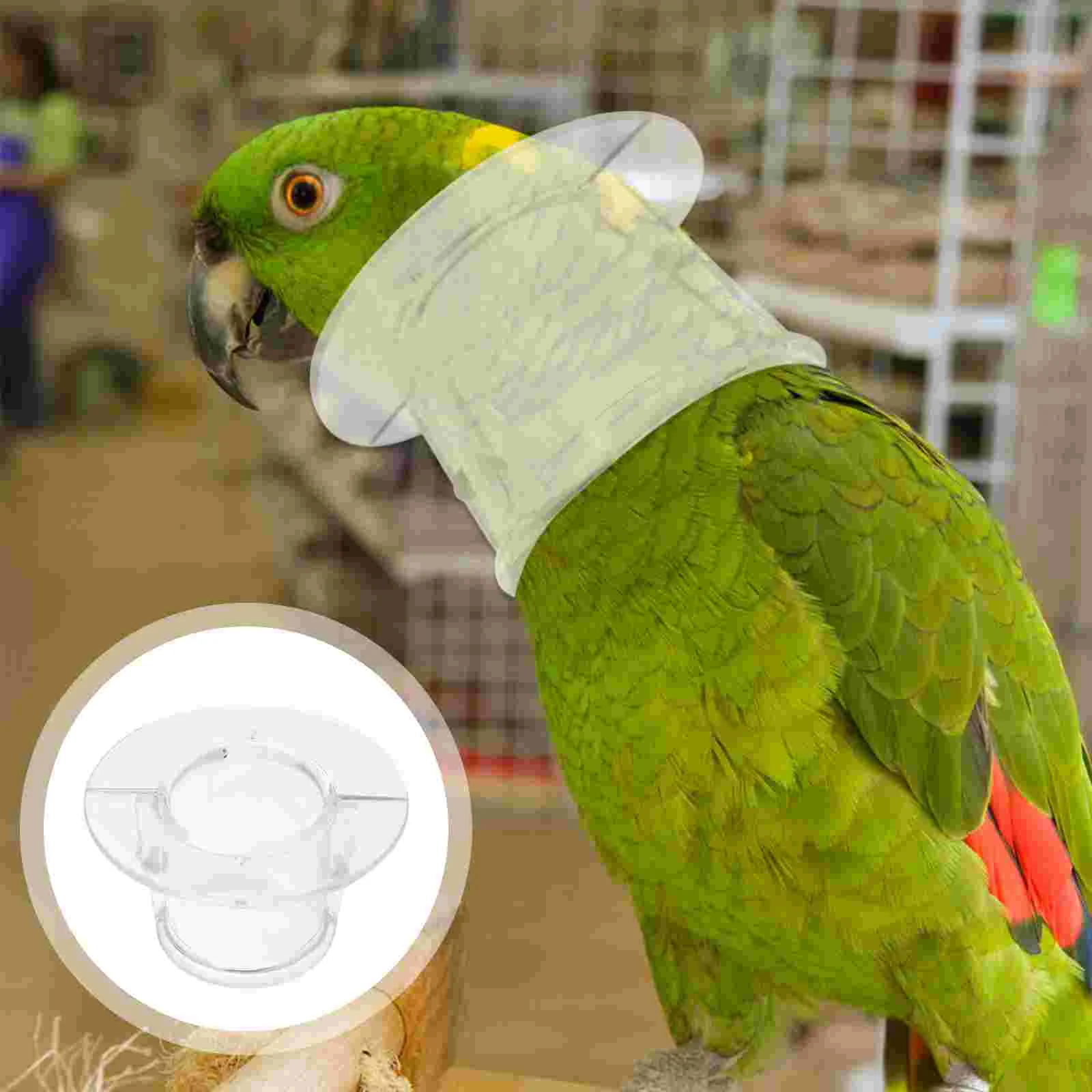 

Collar Bird Parrot Bite Anti Neck Supplies Recovery Neckband Necklace Pet Cone Plucking Collars Birds Cover Picking Elizabethan