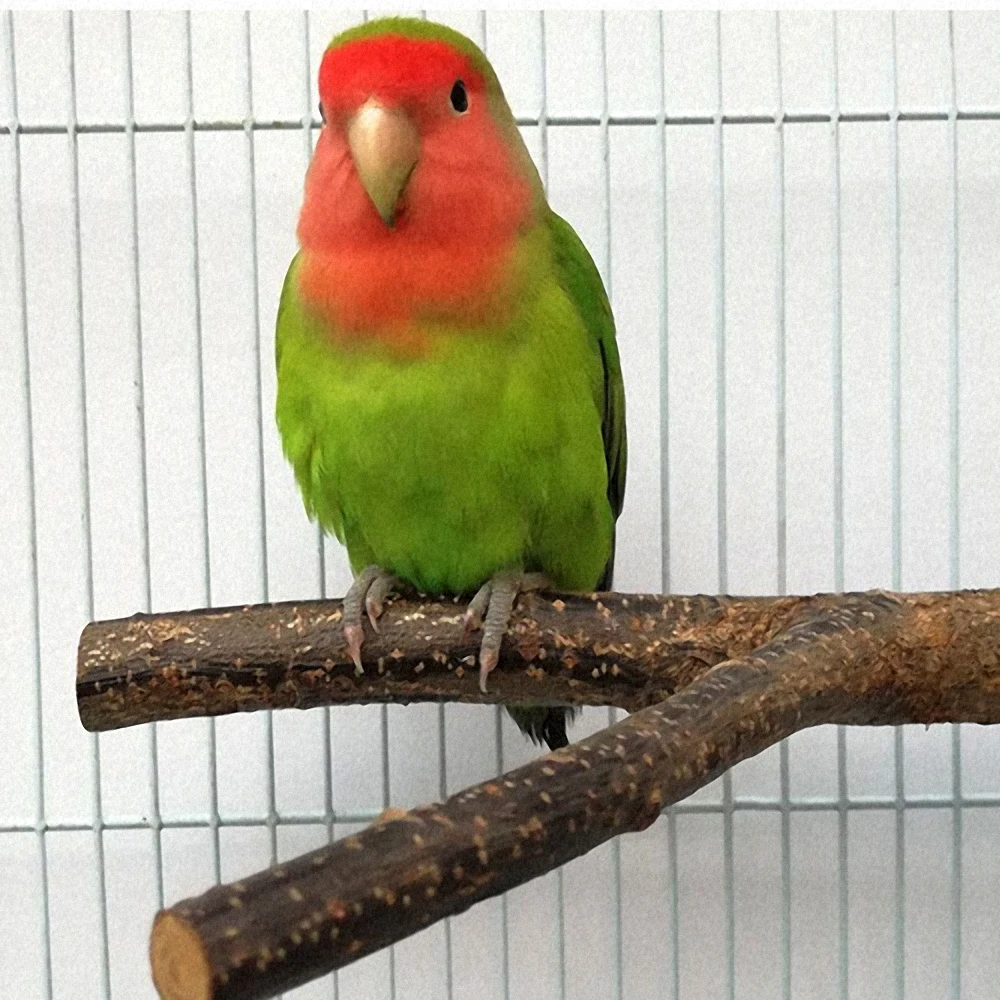 

Bird Perch Stand Wood Pet Parrot Grinding Claw Toy Parrot Tree Branch Rest Holder Rattle Bite Supplies Bird Cage Accessories