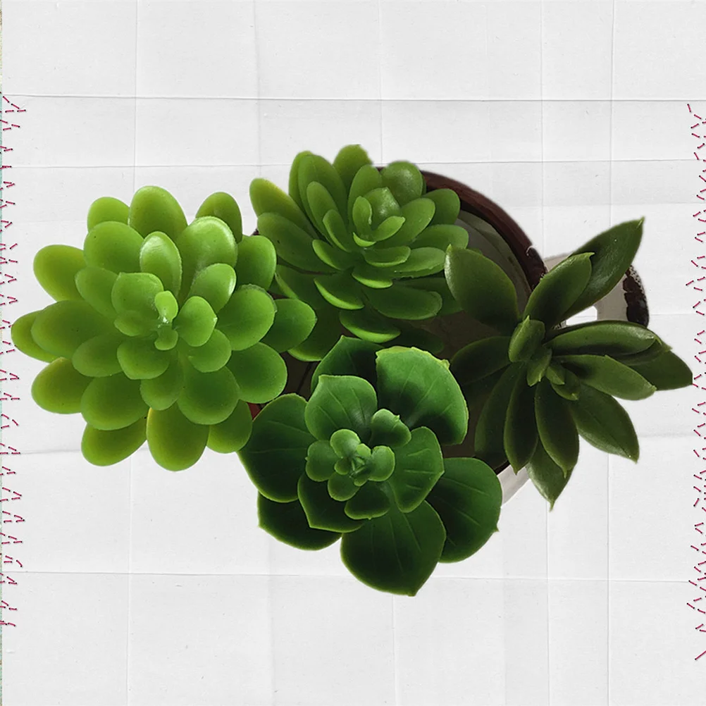 

3PCS Tiny Succulents Small Assorted Succulents Stem Diy