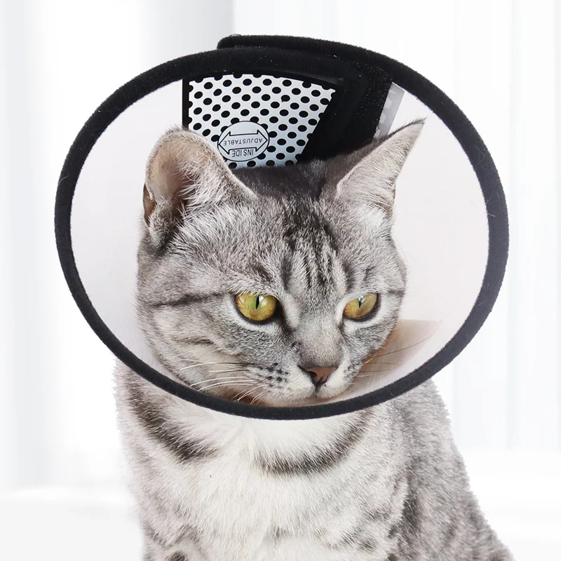 1Pc Elizabeth Collar Pet ป้องกันฝาครอบสัตว์เลี้ยงผ่าตัด Anti-Bite Anti-Scratch Collar Dog แมว Beauty care อุปกรณ์