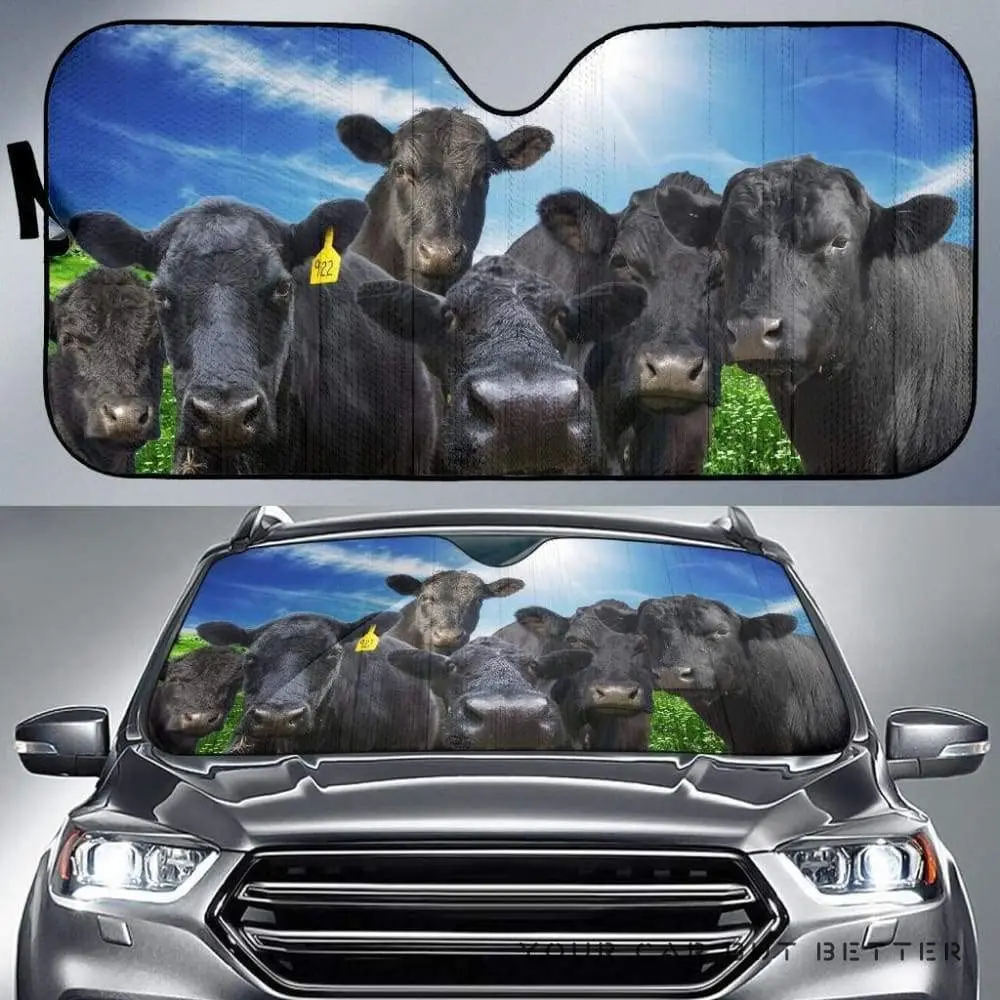 

Farm animals on black angus dairy farm with blue sky background car sunshade car sunshade, UV protection sun visor