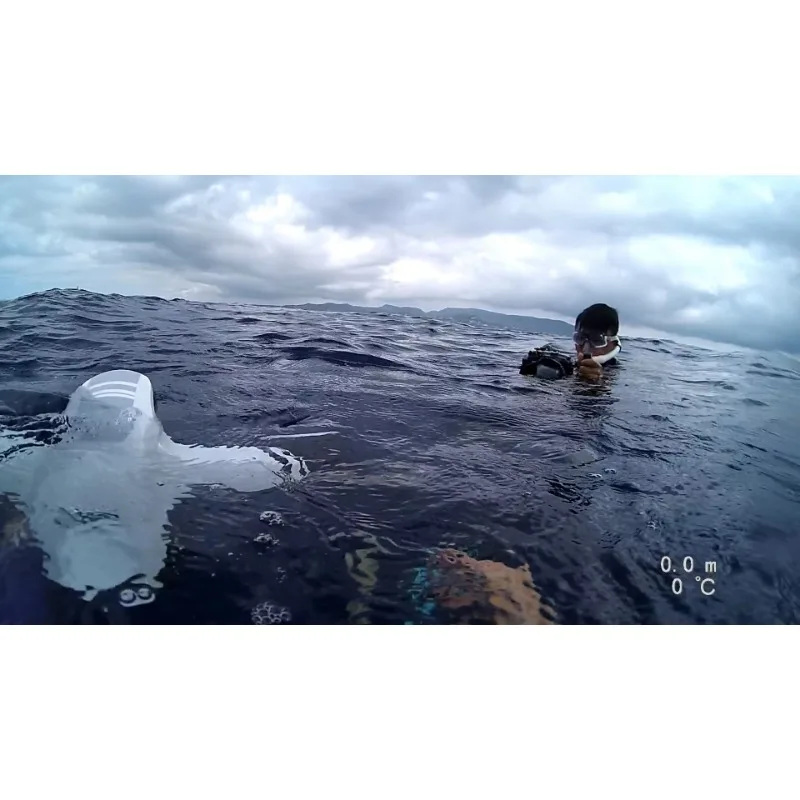Фото Электрический подводный скутер CAMORO Robosea Seaflyer 1.0 для дайвинга и снорклинга, ручное подводное оборудование с пропеллером №3