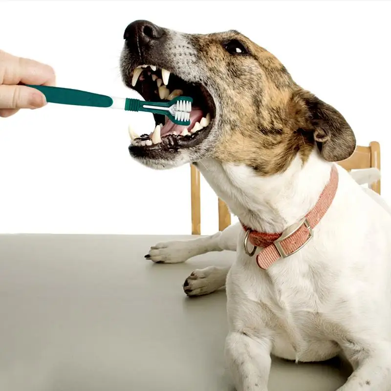Набор зубных щеток для чистки домашних животных, зубная щетка с тремя головками и несколькими углами для ухода за зубами у собак и кошек