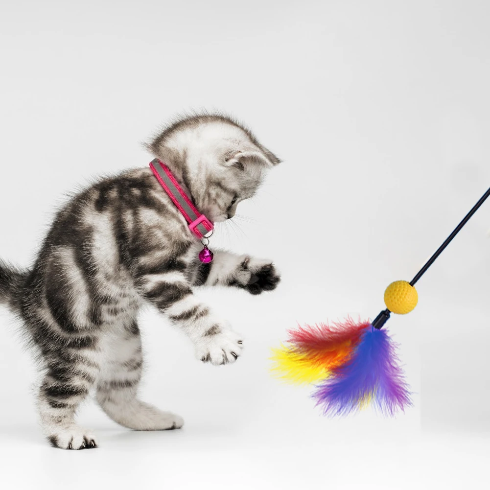 

4 шт. Дразнилка для кошки, длинное перо, радужная палочка, палочка, нержавеющий шар, случайный цвет, практичный Забавный пищалка для укуса