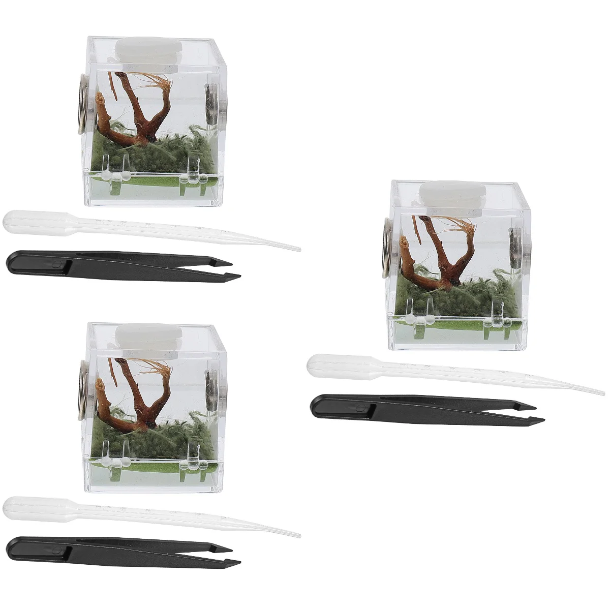 

Reptile Box Breeding Tank Feeding Container Amphibian Hatching Geckos Raising Snaketerrarium Habitat