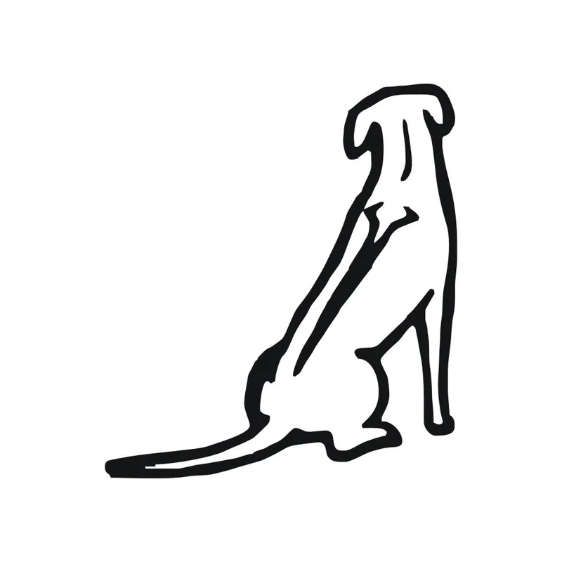 

CG car sticker funny Rhodesian Ridgeback Dog PVC Car Window Motorcycle Decal Auto Window Car Bumper Sticker Car Accessories