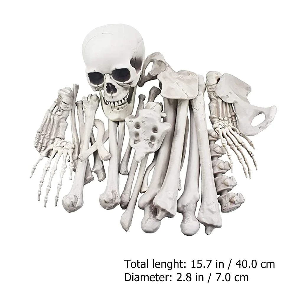 

28 Pieces Halloween Humans Halloween Decor Bones Ornaments