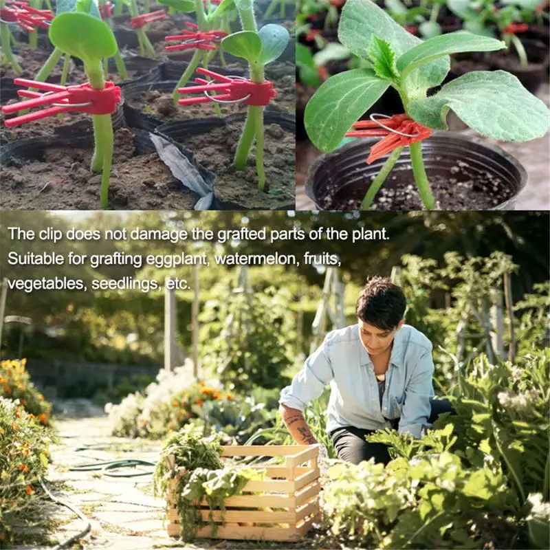 

50PCS Plants Graft Clips Plastic Garden Tools For Cucumber Eggplant Watermelon