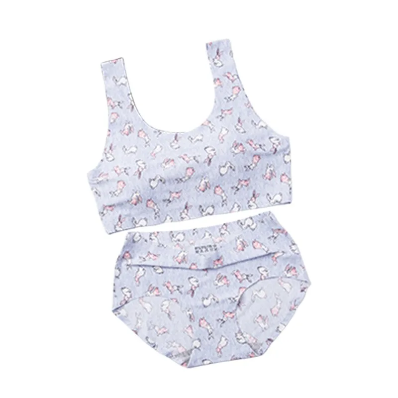 

Seamless Bra Set Women Push Up Bra and Panties Set Padded Underwear Top Female Sexy Lingerie Set Fashion Sports Brassiere