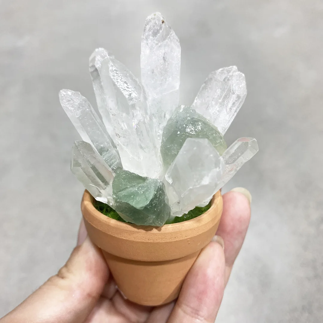 

1PC Natural Green Fluorite Stone Quartz Crystal Cluster Specimen Lucky Potted Plants Crafts Art Healing Home Decorator