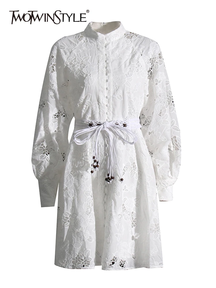 

TWOTWINSTYLE Stand Collar Slim Dresses For Women Lantern Sleeve High Waist Mini Embroidery A Line Dress Female Fashion Clothing