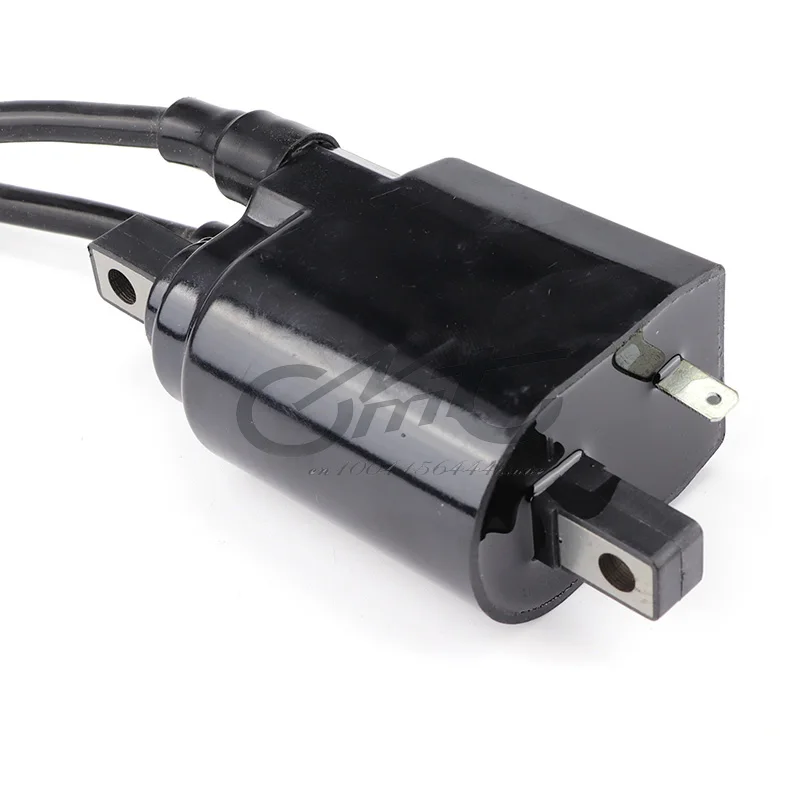 Рисунок 4 - Катушка зажигания SEA-DOO 278000202