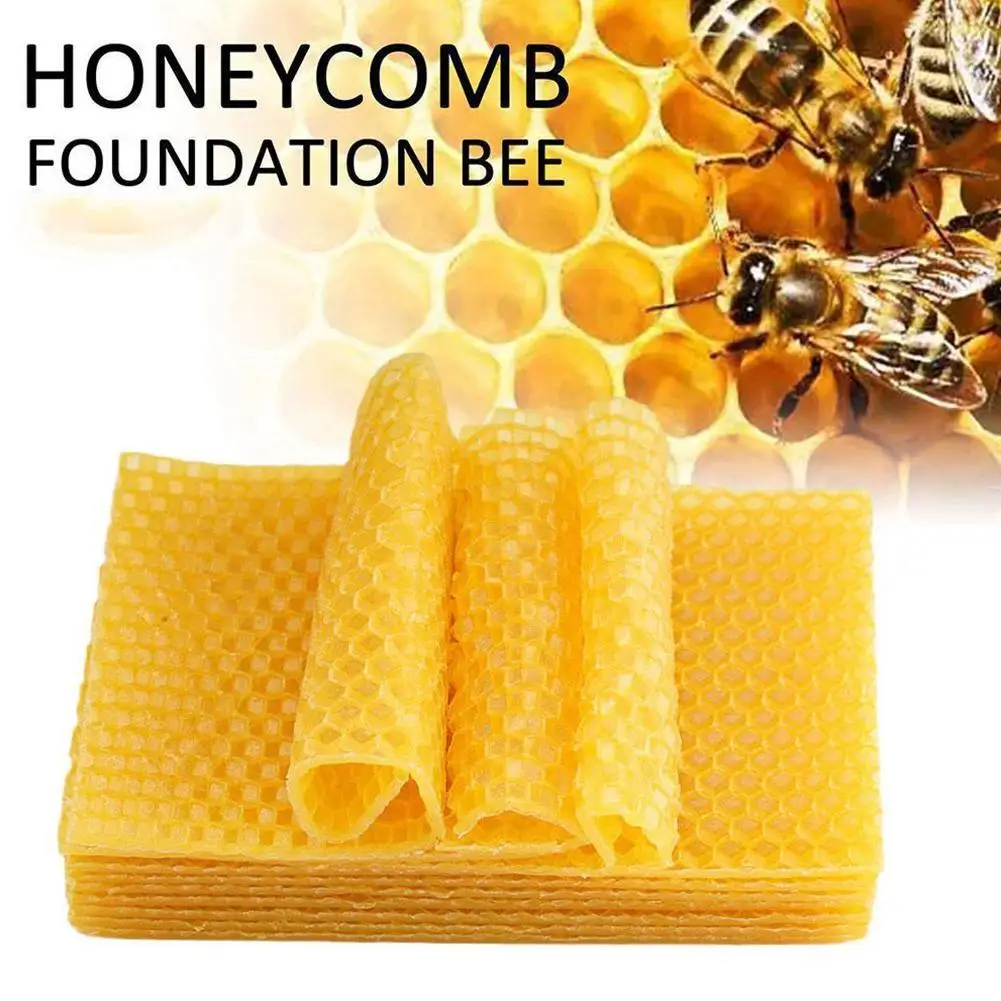 Maker Bees Wax Honeycomb Beekeeping Foundation Sheets Tools