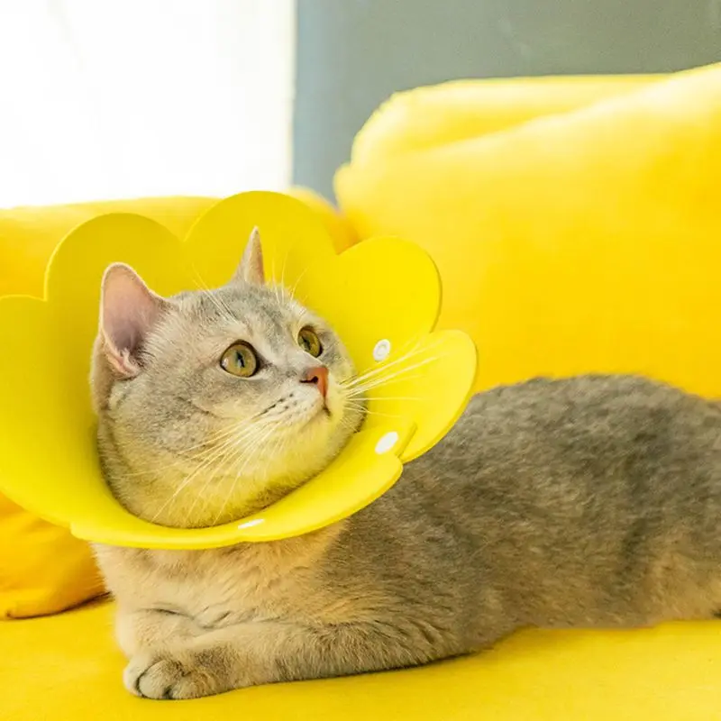 Ошейник для восстановления кошек ошейник РАН защитный конус котят D7YB - купить по