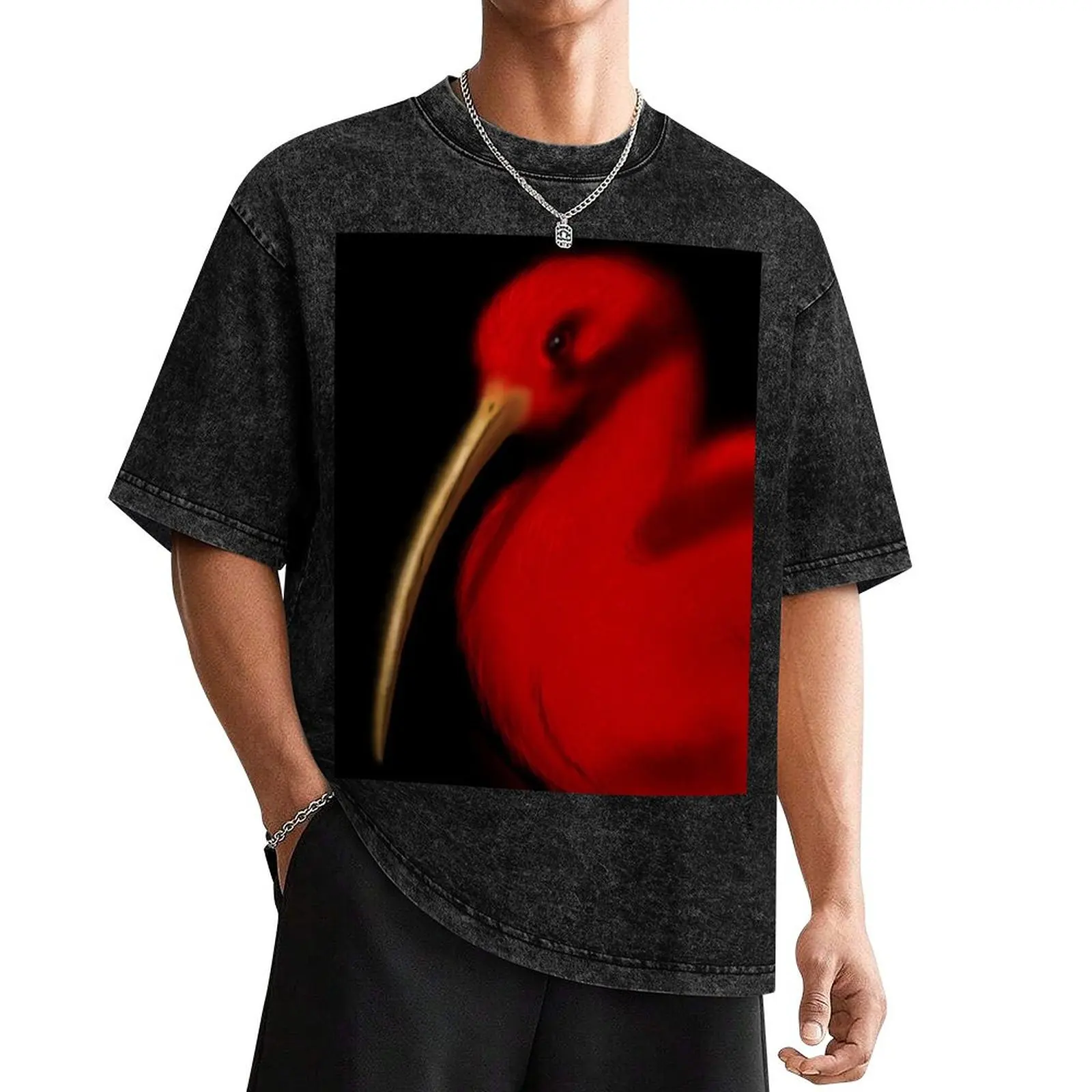 Мужские футболки Scarlet Ibis хлопок большие размеры