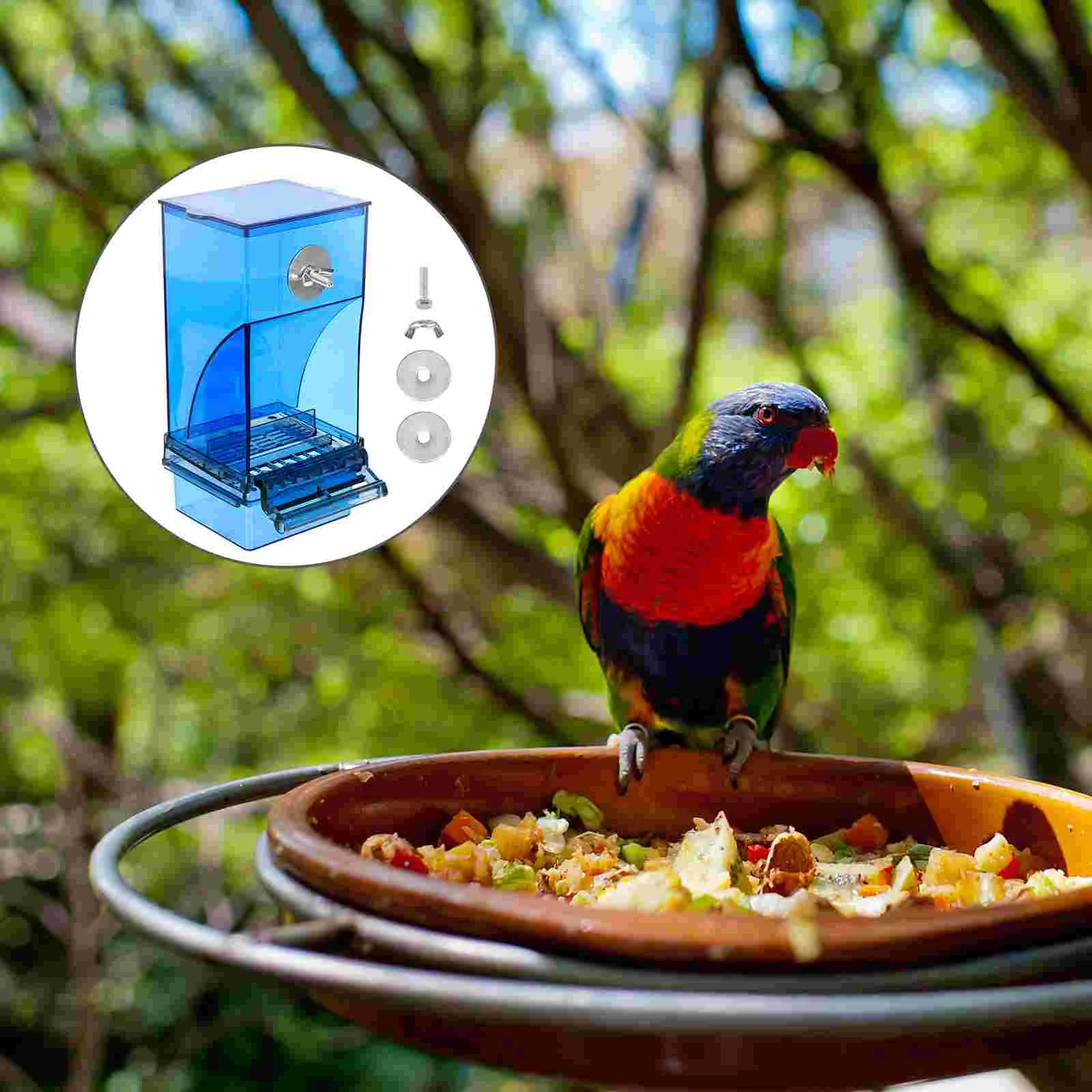 

1pc Parrot Practical Creative Bird Automatic Feeder