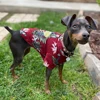 Hawaiian Style Dog Clothes Cool Beach Cat Dog Shirt Wholesale