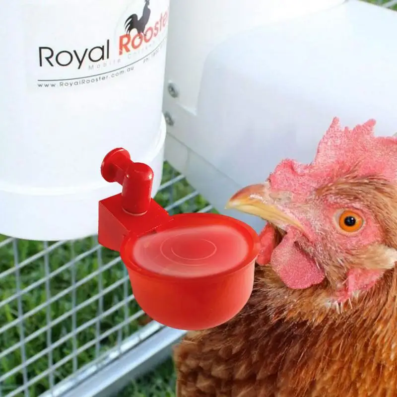 

5pcs Automatic Chicken Watering Cups Plastic Poultry Waterer Cups Hanging Backyards Poultry Coop Feeder Water Drinking Cups