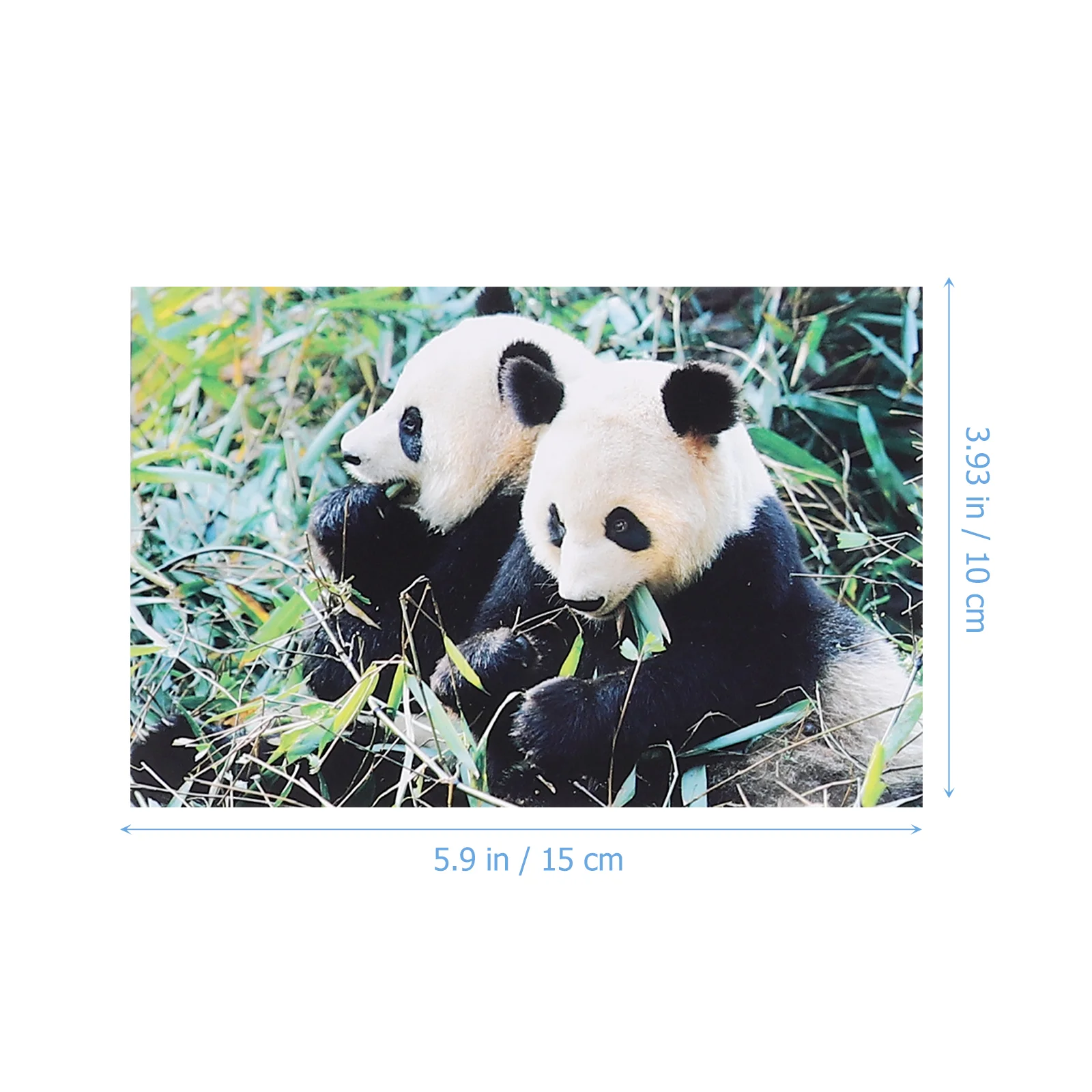 Рисунок 5 - восхитительные почтовые открытки