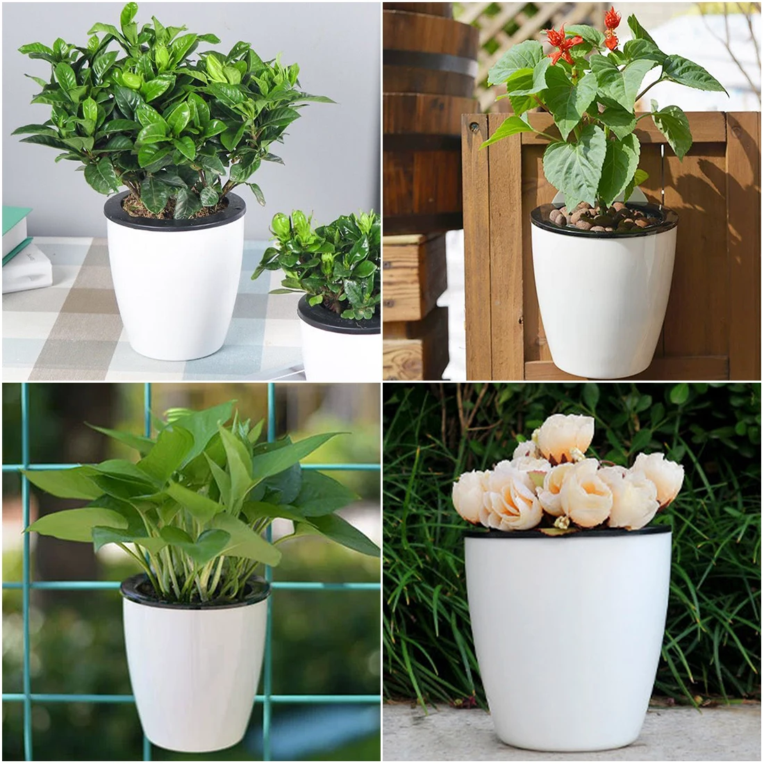 

1 Pcs White Plastic Flower Pots Green Lazy Wall Hanging Self Water Display Orchid Pot Creative Indoor Decorative
