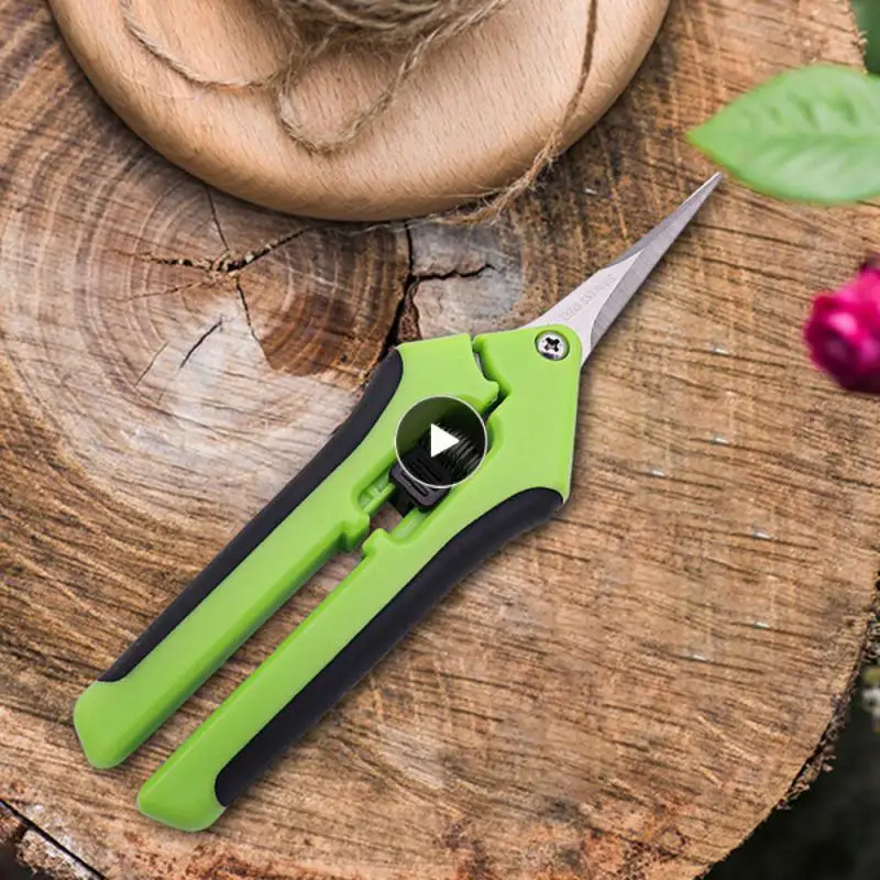 

Heat Treatment Process Fruit Branch Scissors Lightweight Comfortable To Cut Fruit Picker Sharp Stainless Steel Pruning Tools