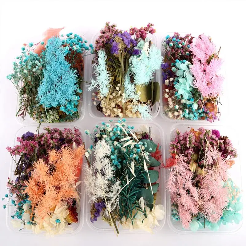 

Colorful Real Dried Flower Plant For Making Aromatherapy Candles Colorful Real Dried Flower Plant Dried Flowers