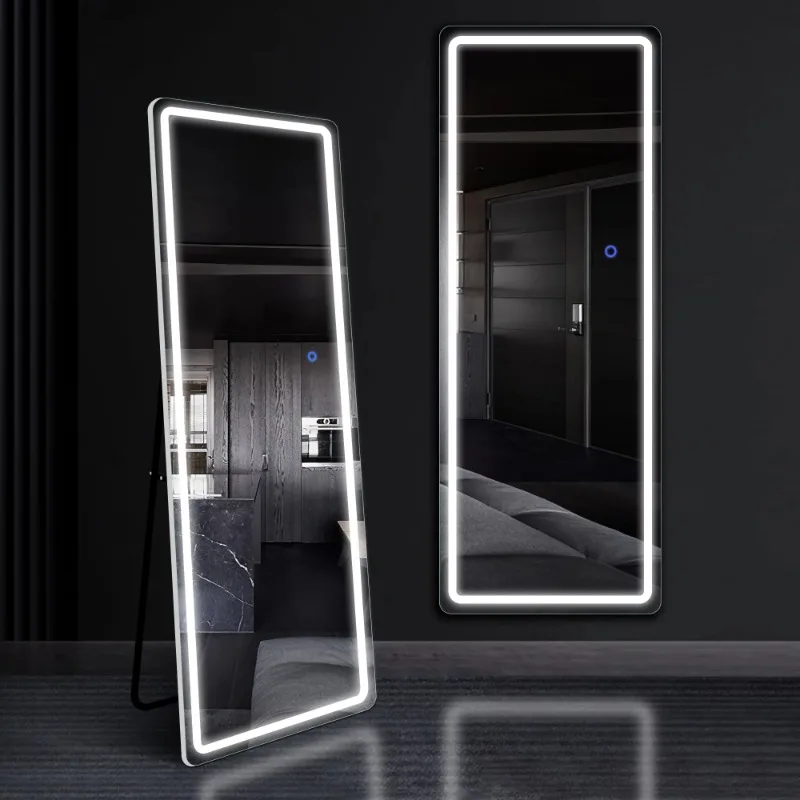 

63"x20" Modern Rectangle LED Full Length Mirror Floor Mirror with Bracket,Silver