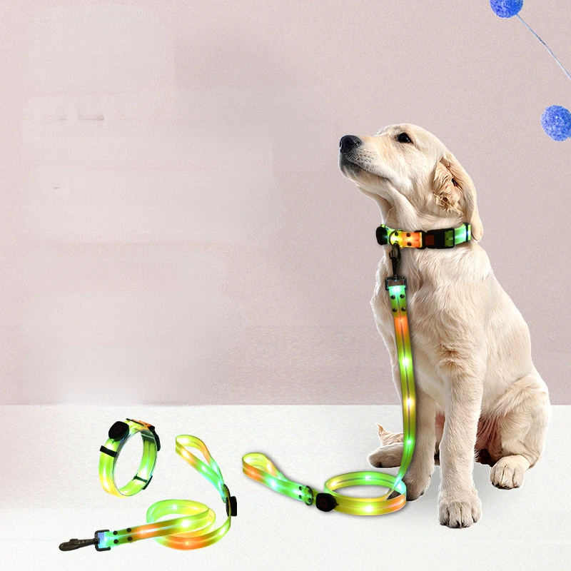 

LED Light UP Dog Leash and Collar Rechargeable Waterproof Glow in The Dark Dog Leash with Light Luminous Reflective Dog Lights