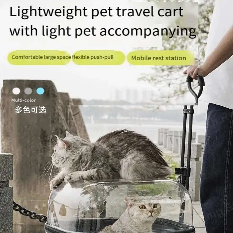 Cesta gran capacidad para gatos прозрачная панорамная камера маркер ... в aire libre полевая комочка