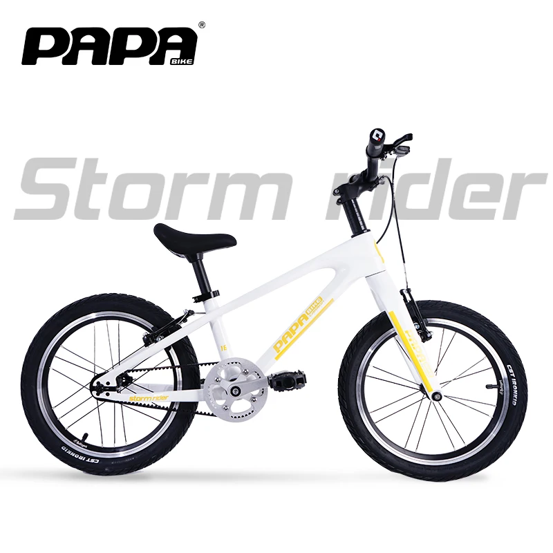 Papa Bike Children's Bicycle Storm Rider Carbon Fiber Kid's 