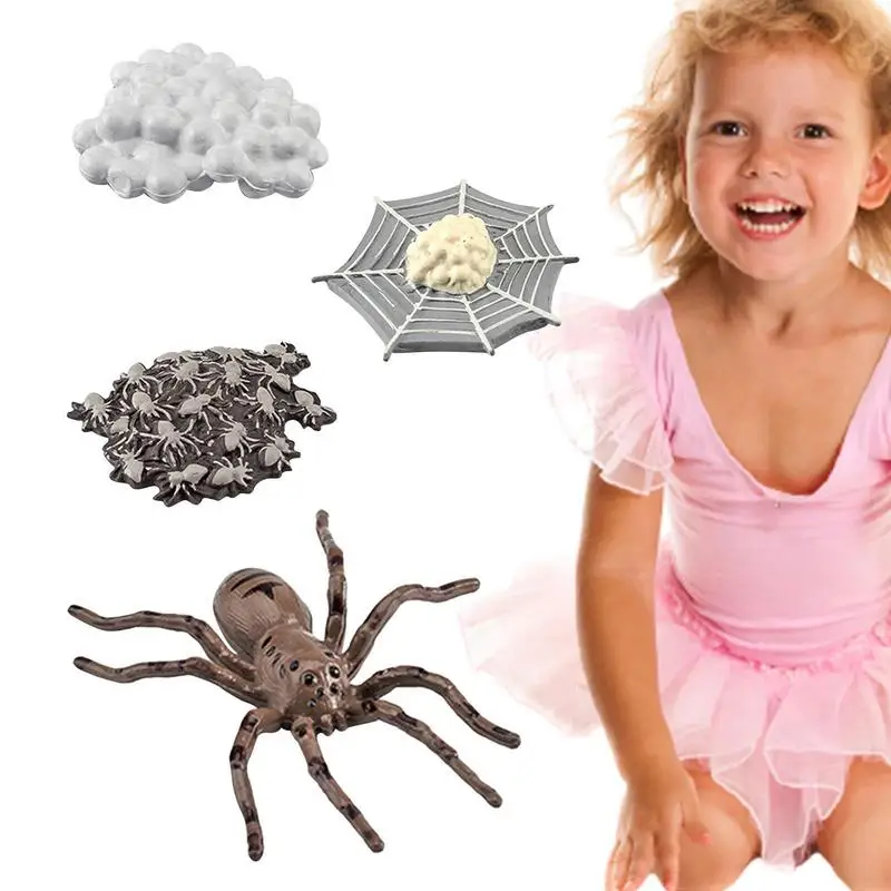 

Набор жизненного цикла, цикл роста животных, биологическая модель, образование существ, жизненные этапы, фигурки для обучения и учебного по...