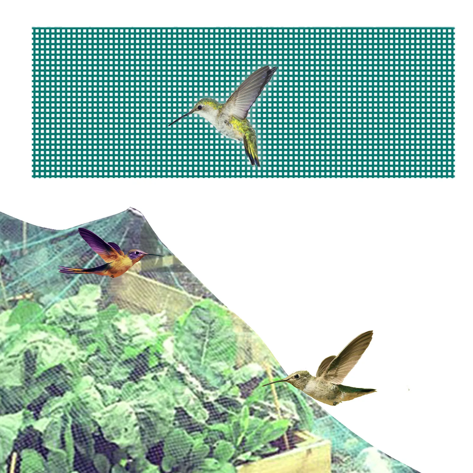 

Anti Bird Protection Net Garden Plant Netting PE Woven Mesh Protect Plants And Fruit Trees Stops From Rodents Birds Deer Poultry