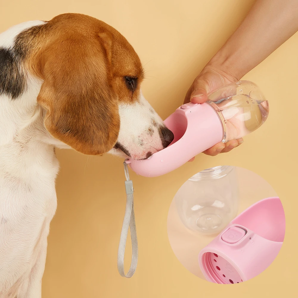 Holapet Water Bottle For Dogs 300 Ml By PawParty Store_voghion.com