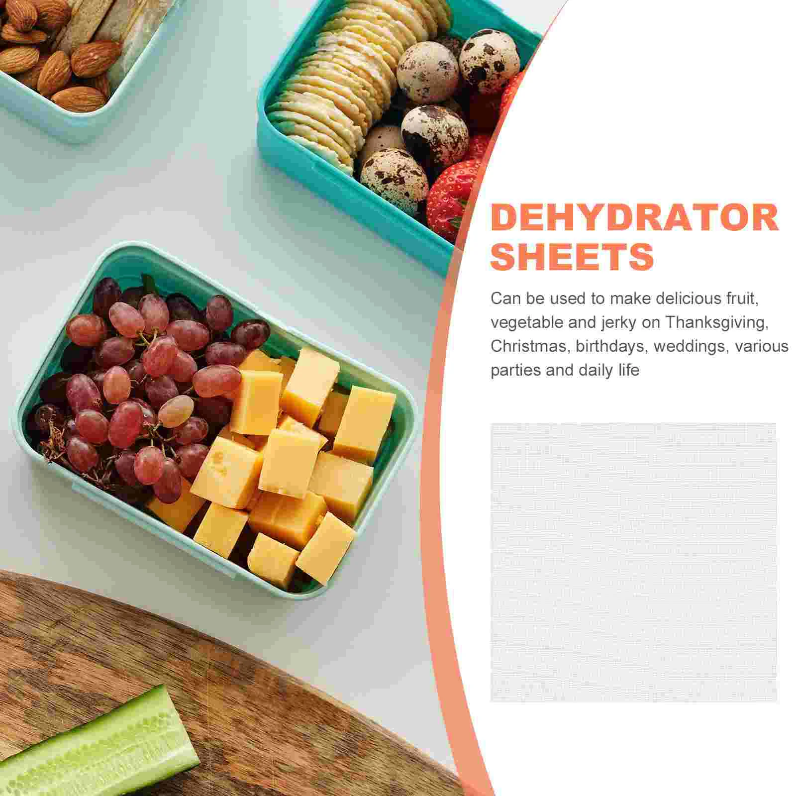 

2 Pcs Fruit Dryer Mat Dehydrator Mats Jerky Silicone Pad Steamer Vegetable Food Silica Gel Pads Liner Square Tray