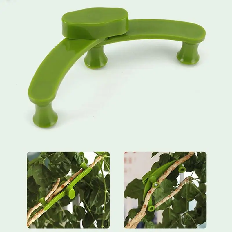 

Plant Training Clips 10pcs Plant Bender Climbing Wall Fixer Vine Bracket Fixed Buckle Branch Pressing Pulling And Shaping Device