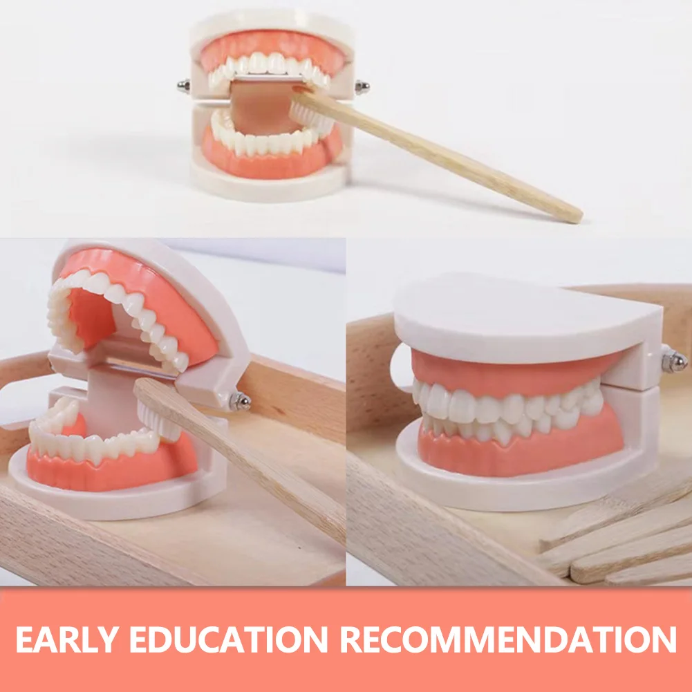 

Обучающие игрушки Монтессори для детей Раннее Обучение Дети интеллект чистка зубов учебные пособия имитация практичной жизни