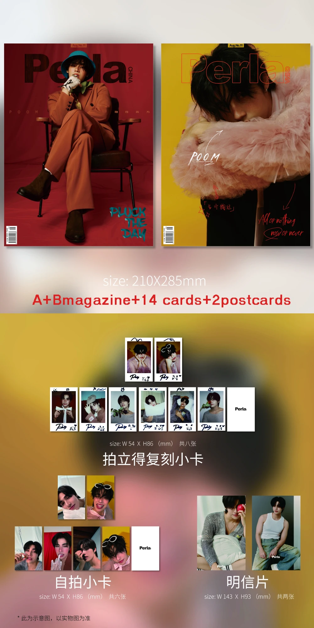 Предпродажный журнал Poom Perla POOM UPPOOM My Stand-in/Professional Body China Album ตัวของmagazines Magazines +