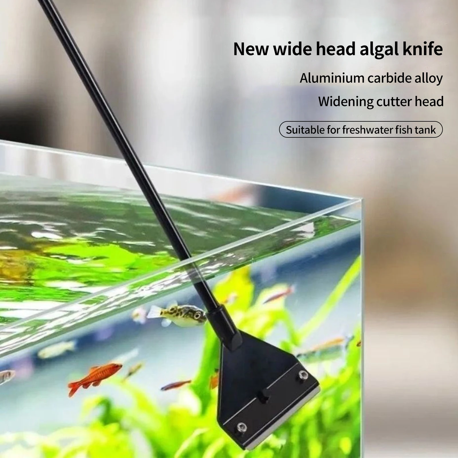 

Инструмент для очистки аквариума, скребок двойного назначения для удаления плоских пескоструйных водорослей, бытовой инструмент для очист...