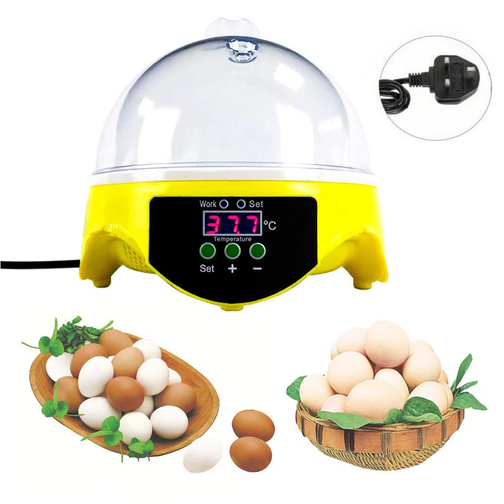 

Incubator Egg Eggs Automatic Hatching Mini Hatcher Chicken Turning Control Temperature Hatchery Quail Birds Turkey Clear Brooder