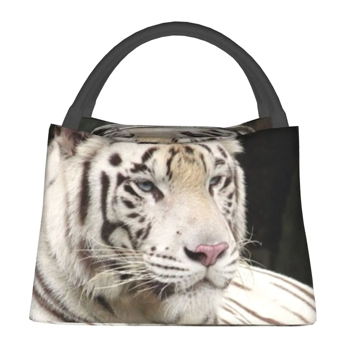 

TIGER Resting Lunch Bag Animal Casual Lunch Box Travel Portable Tote Food Bags For Girls Oxford Print Cooler Bag