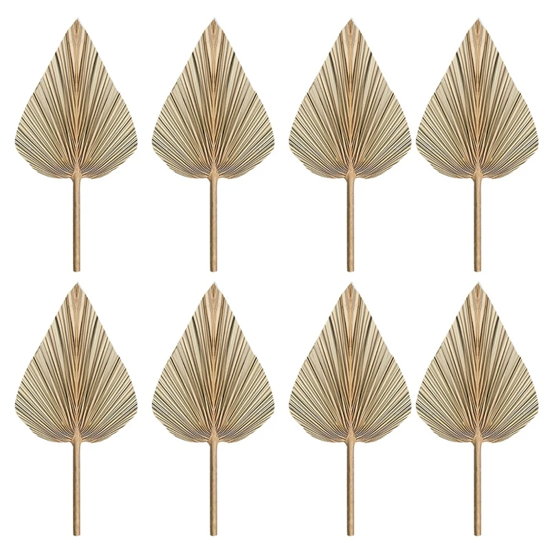 

8Pcs Dried Palm Leaves Dried Palm Fans Bohemian Dried Palm Spears Artificial Plants Palm Leaves Tropical Palm Leaves