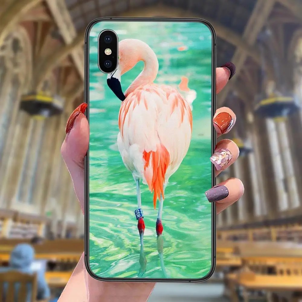 Чехол для сотового телефона Apple IPhone 13 12 Mini 11 Pro XS MAX XR X 8 7 6S 6 Plus 5S SE с рисунком