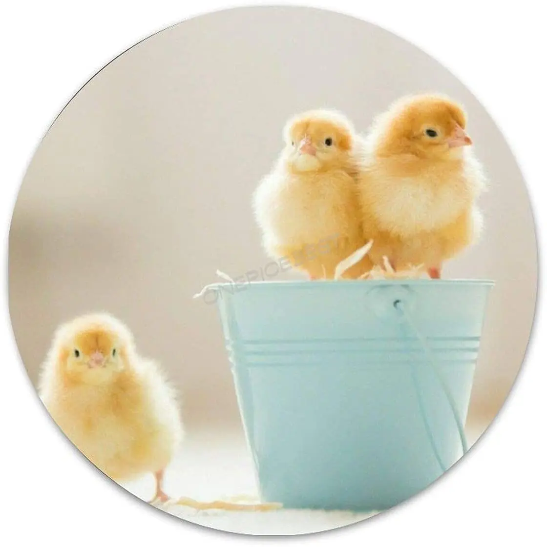 

Metal Tin Signs Funny Aluminum Poster Cute Chicks Chicken Animal Kids Decorative Wall Art Round Plaque Home Décor