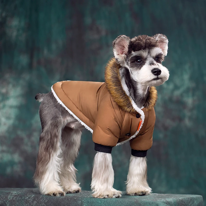 

Super Warm Winter Dog Clothes for Small Dogs,Waterproof Fabric Thickened Pet Hoodie Chihuahua Clothing French Bulldog Pug Jacket