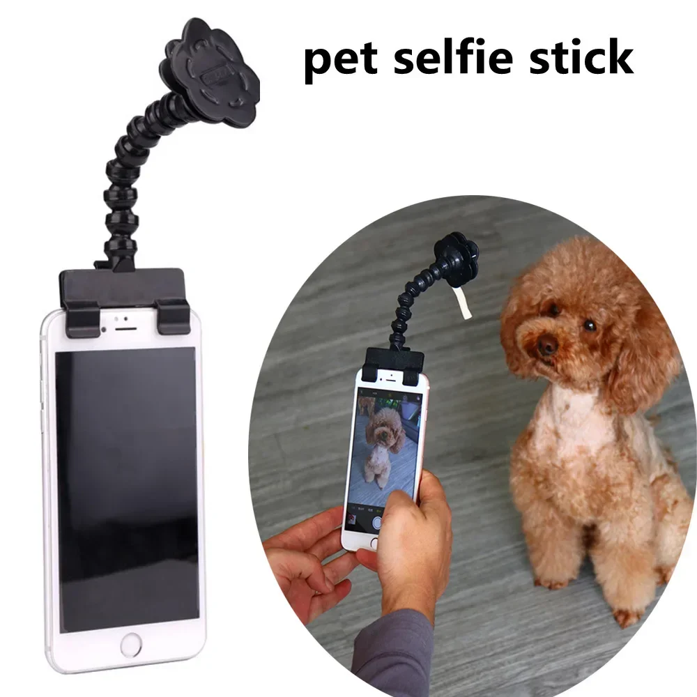 Инструмент для фотосъемки домашних животных объектив наблюдения за кошками и