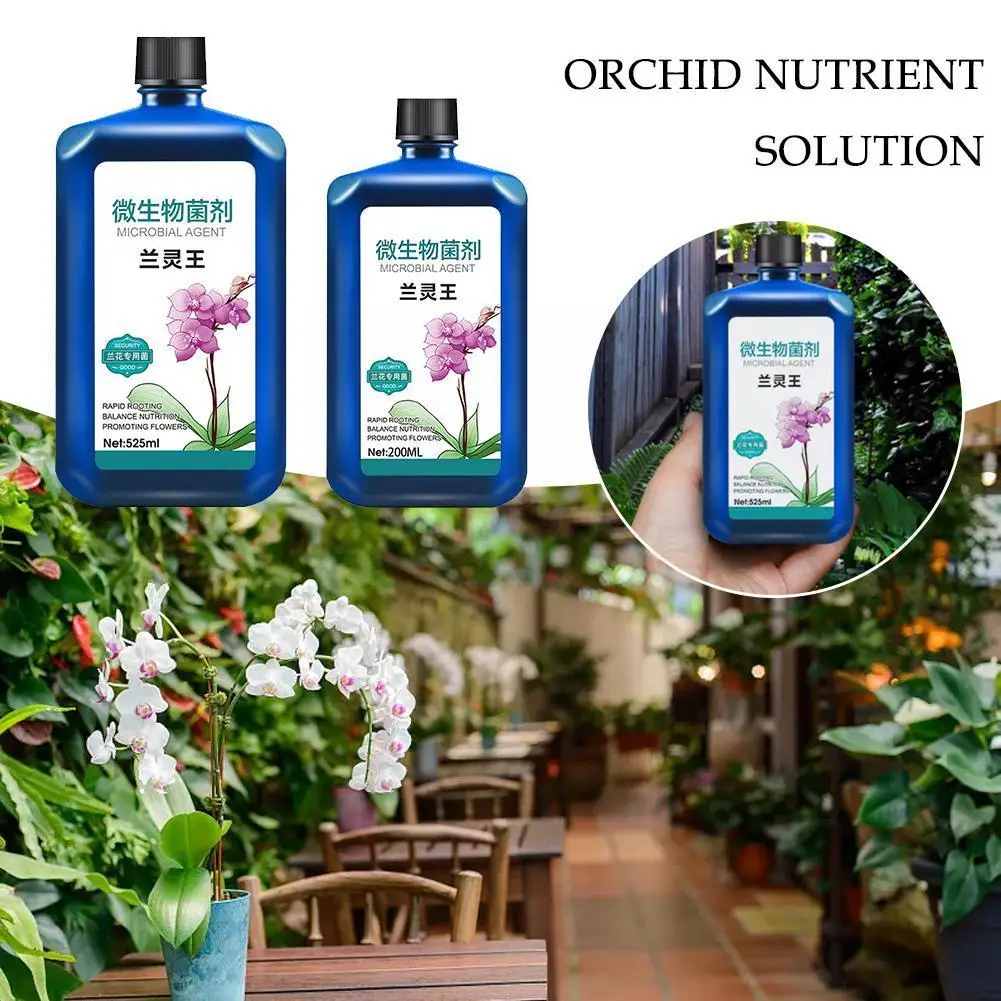 

Питательное жидкое цветочное удобрение, растительный концентрированный раствор, удобрение, Орхидея, фаленопсис, питательный особый Nutr K2P1