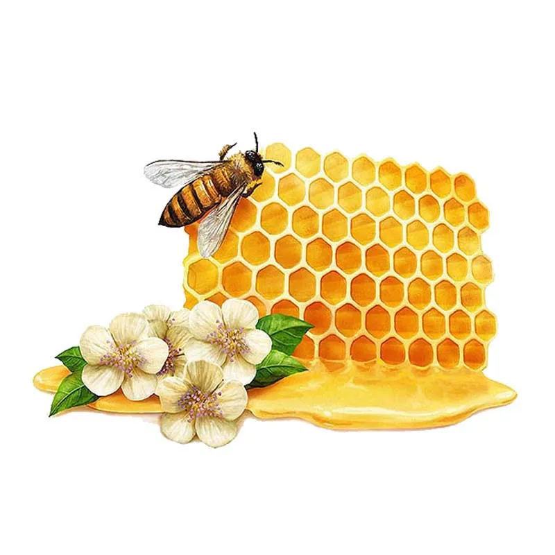 

New Delicious Honey High-quality Decoration Bodywork Windshield Car Stickers and Decals Lovely Sunscreen Suv Interior KK15*10cm